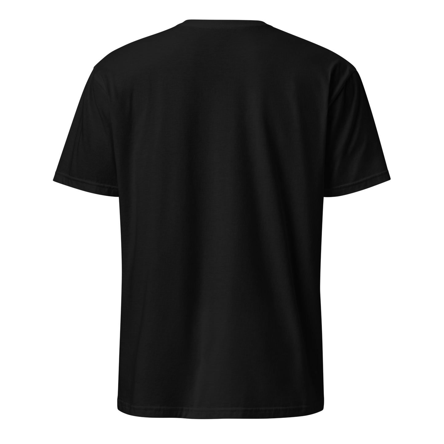 Kiinalainen sananlasku - Tietämätön seuraa yleistä - V11 - DTF - Classic t-paita