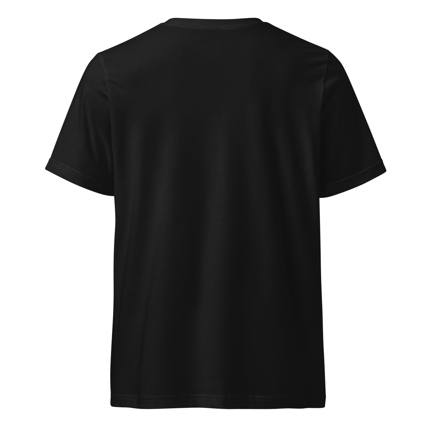 Posi Classic t-paita V-kauluksella - V1  DTG